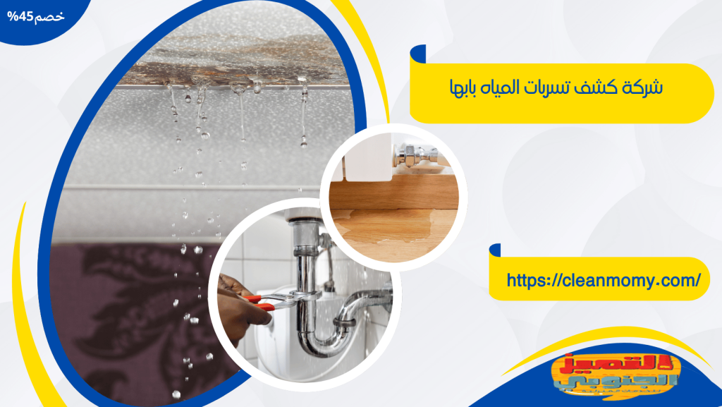 شركة كشف تسربات المياه بابها 