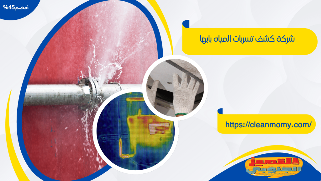 شركة كشف تسربات المياه بابها 