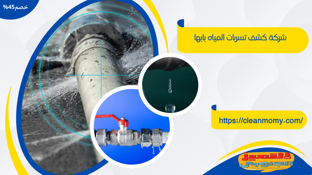 شركة كشف تسربات المياه بابها 
