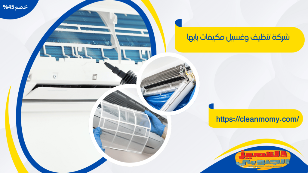 شركة تنظيف بابها